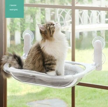 Грызуны: Прозрачный подоконный гамак-лежанка для кошек на присосках🐈🐈 - — 1