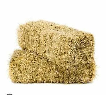 Ветеринар кызматы: Арпа саман тюк сатылат, таза, кургак, плотный. Баксы 130 сом — 1