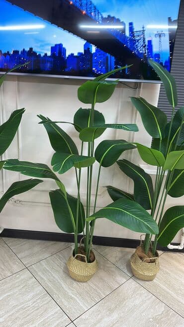 Искусственная пальма! ✨ В продаже элегантные декоративные пальмы для