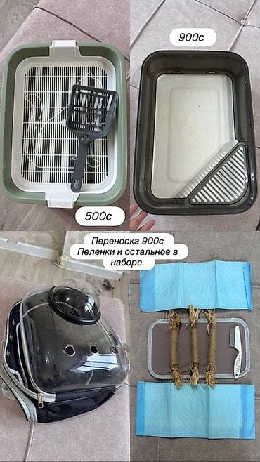 сиямский кот: Зоотовары для кошек - все на фото, можно по отдельности. Все позиции — 1