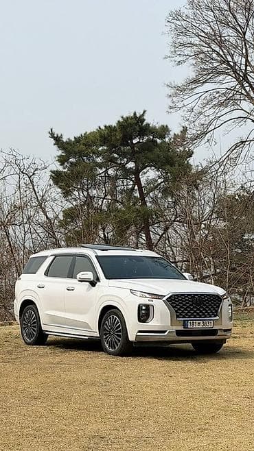 e60 m5: Hyundai Palisade: 2020 г., 2.2 л, Автомат, Дизель, Кроссовер — 3