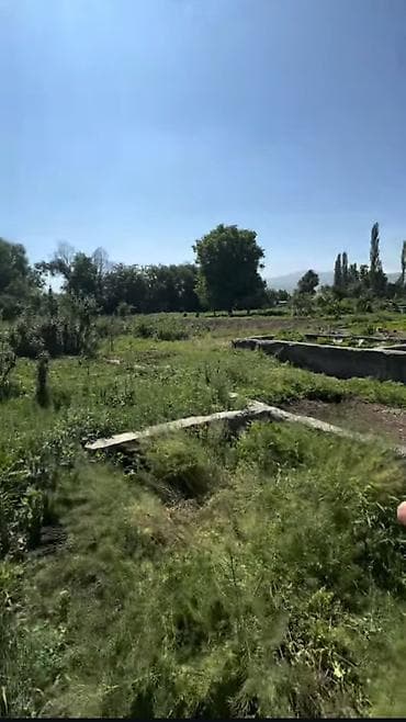 155 соток, Для строительства, Красная книга at lalafo.kg 155 соток, Для строительства, Красная книга