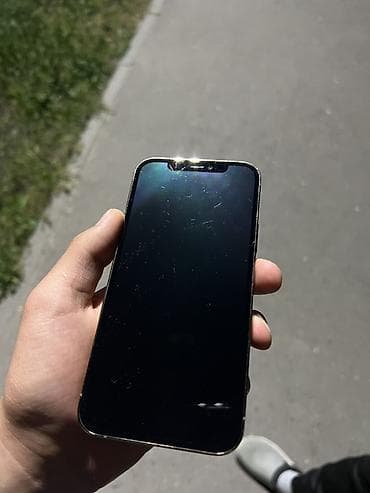 xiaomi 17: IPhone 12 Pro, 128 ГБ, Серебристый, 100 % — 4