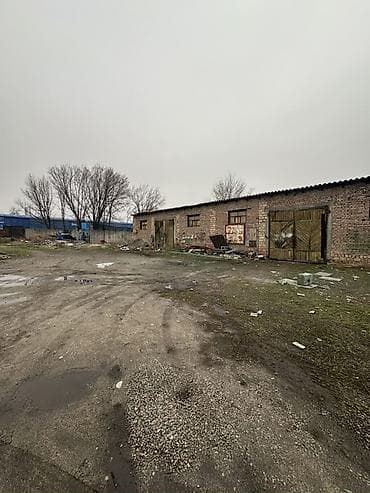 3: 29 соток, Красная книга — 7