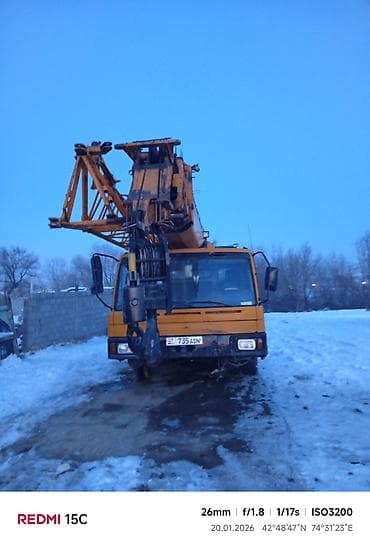 транзбой авто: Автокран, 2008 г., от 30 м — 1