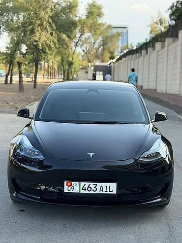 wuling mini ev: Tesla Model 3: 2023 г., 0.1 л, Автомат, Электромобиль, Седан — 1