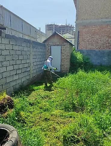 Уборка территории, Уборка двора и сада