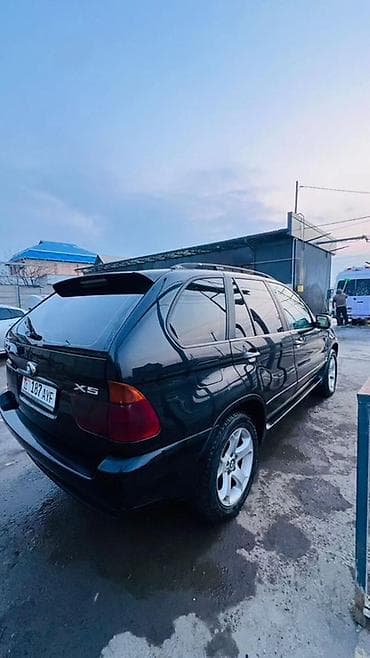 bmw x5 е53: BMW X5: 2003 г., 0.3 л, Автомат, Внедорожник — 1
