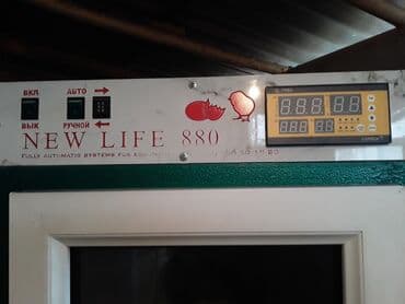 товары для животных: Товары и оборудование для с/х животных — 8