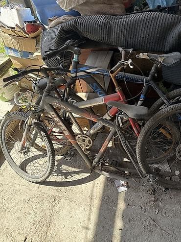 sp 4: Детский велосипед, 2-колесный, 4 - 6 лет — 3