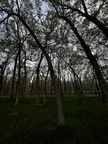 комната аламедин 1: 100 соток, Курулуш, Сатып алуу-сатуу келишими — 2