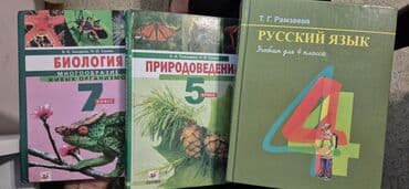 купить школьную доску для начальных классов: Учебник, 4 класс, русский язык Т. Г. Рамзаева. Состояние нового. 250 — 3