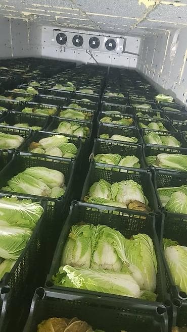 Басай продоём оптом