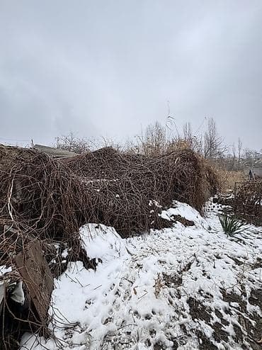 3 соток, Для строительства, Красная книга, Договор купли-продажи