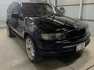 нива кузов: BMW X5: 2000 г., Кроссовер — 4