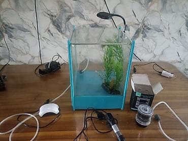 фарель живой: Аквариум/палюдариум вертикального типа с декоративным оформлением — 6