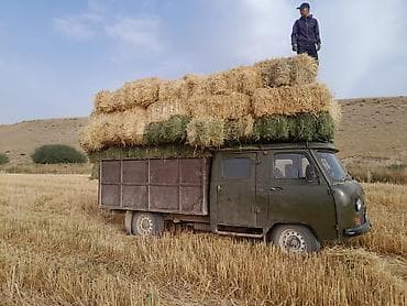 mazda mps: УАЗ 3151: 2001 г., 2.7 л, Пикап — 1