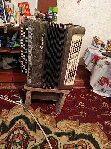 с220: Баяны — 1