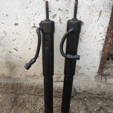 бакту долонотуу: Без выезда — 6