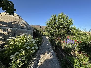 Ысык-Көлдө конок үйлөр: Ысык-Көлдө конок үйү, TAMCHY GUEST HOUSE, Тамчы, 10+ орун — 6