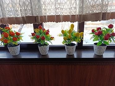 стеклянные вазы бишкек: Искусственные декоративные композиции в горшках - Композиции с — 3