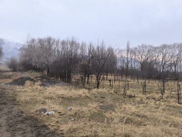 купить участок для строительства дома: 10 соток, Для строительства, Красная книга — 6