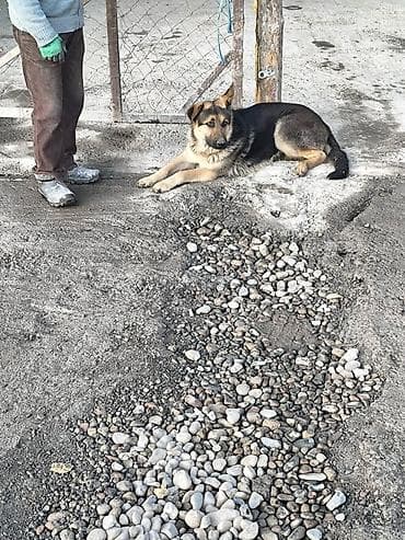 багаж автобокс: Автобокс — 2