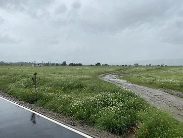 72 соток
