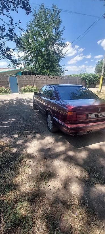 м50б25 купить: BMW 5 series: 1992 г., 2.5 л, Механика, Бензин, Седан — 3
