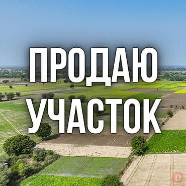 10 соток