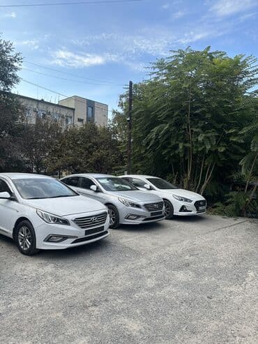 авто в рассрочку: Hyundai Sonata: 2017 г., 2 л, Типтроник, Газ, Седан — 8