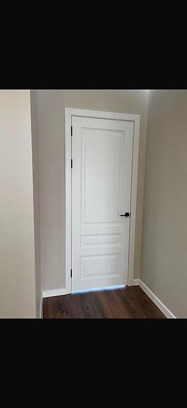 двухстворчатые двери: Межкомнатные двери в классическом стиле - Цвет: белый - Полотно — 2