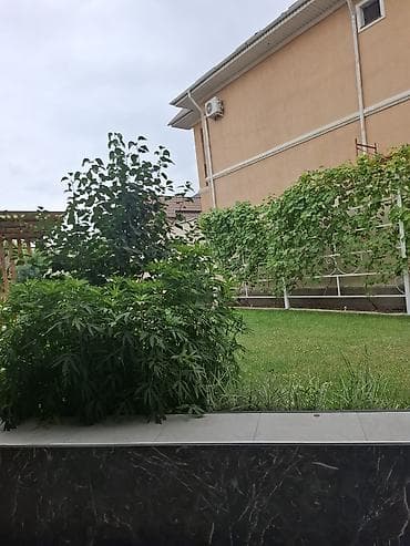 🏡 Продаётся роскошный дом премиум-класса!!! 📍 Район: Киргизия-1 🏠