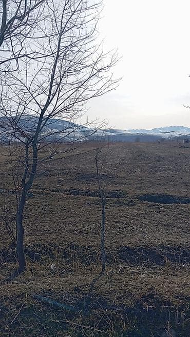 продажа крс: 150 соток, Для сельского хозяйства, Договор купли-продажи — 3