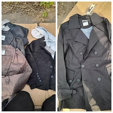 котёнок даром: Актуально.Обмен на мед,на порошок ушастый нянь 4 кг.Куртки в — 6