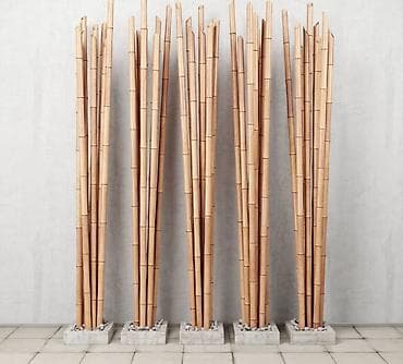 Кактусы: 1)Бамбуковые стебли (тростники) для декора и садовых работ. От 100с/м — 10