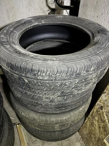 225 55 17: Комплект автомобильных летних шин (несколько комплектов). - Тип — 2