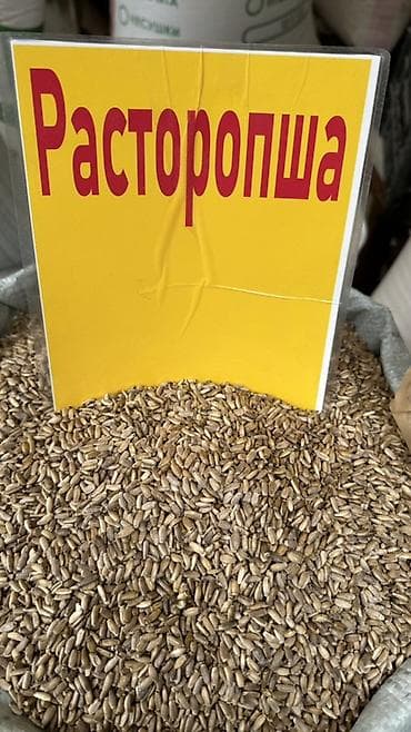 кунжутная паста: Семена и крупы для здорового питания: - Семена расторопши — цельные — 6