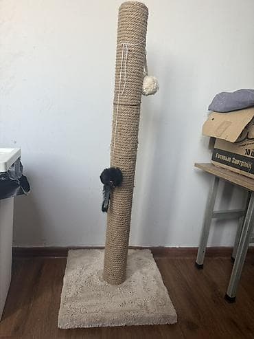 Другие животные: Когтеточка-столб для кошек б/у - Высокий вертикальный столб — 3