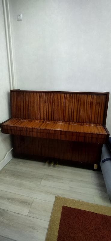 Микрофоны: Пианино 🎹"Беларусь " В хорошем состоянии! — 3