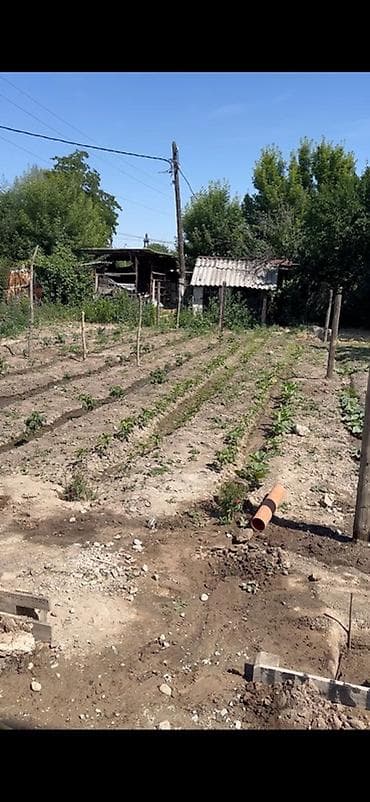 балыкчы комната: 1 комната — 1