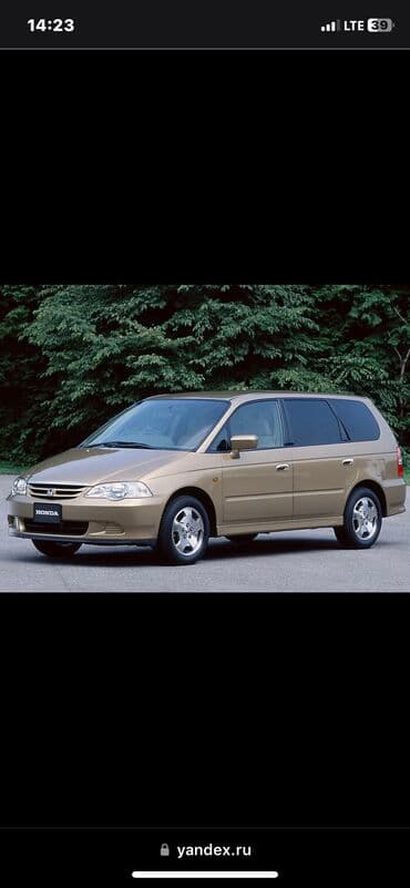 Шиномонтаж: Трезвый водитель. 24/7 — 1