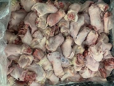 mr beast: Продаю куриные потроха Свежие замороженные без запаха итд Желательно — 9