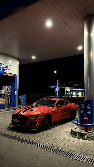 лиса на колесах: Ford Mustang: 2017 г., Купе — 1