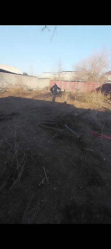Уборка территории, Уход за деревьями at lalafo.kg Уборка территории, Уход за деревьями