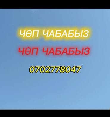 Уборка территории, Стрижка газона