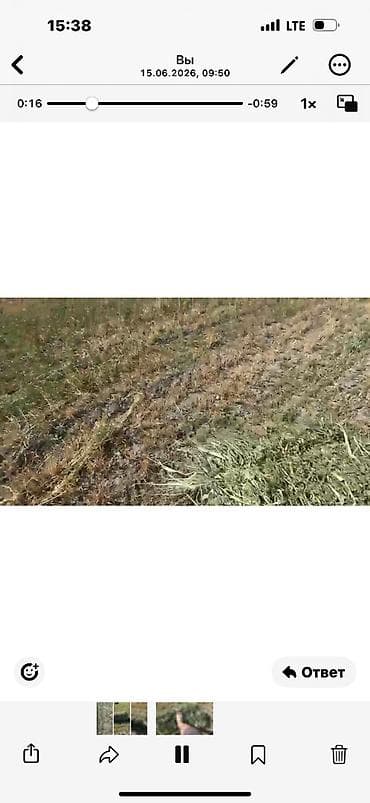 симина кукурузы: Сено в тюках - Тип: луговое сено, прессованные прямоугольные тюки. - — 5