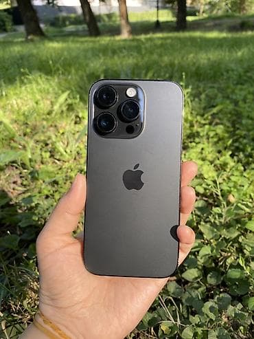 IPhone 14 Pro, 256 ГБ, Графит, 77 %
