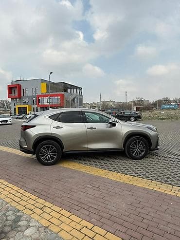 es 200: Lexus NX: 2022 г., 2.5 л, Робот, Бензин, Кроссовер — 3