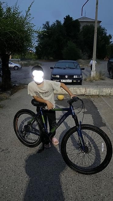 Горный велосипед, Skillmax, Сталь